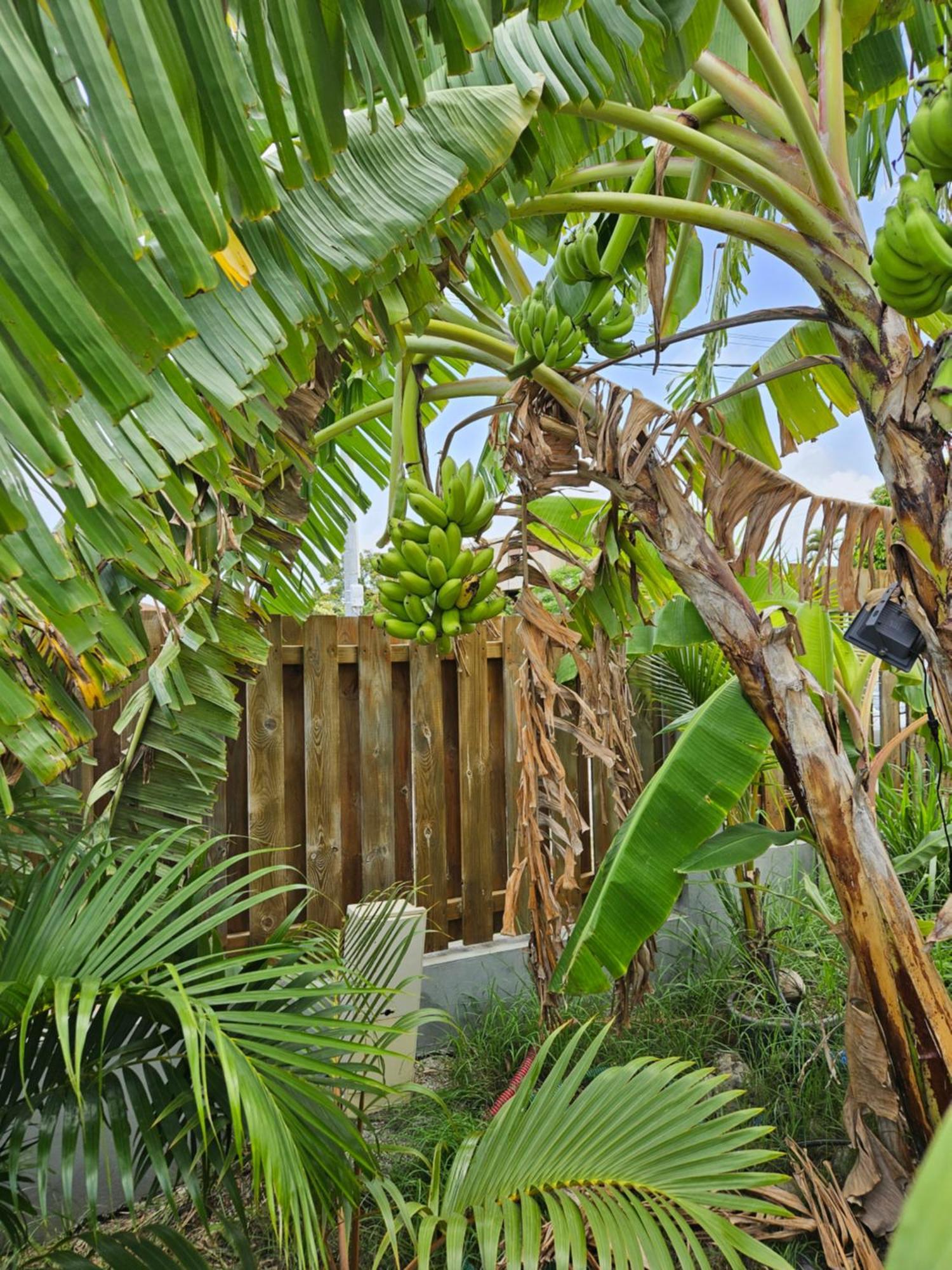 Bungalows Ti Lodge Martinique - Pres De La Plage Avec Jacuzzi Prive Sainte-Luce Dış mekan fotoğraf